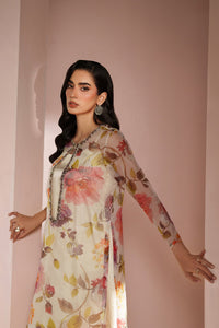RTW 1032 – authentic Pakistani dress from the Alizeh Ready to Wear collection for women in the UK.