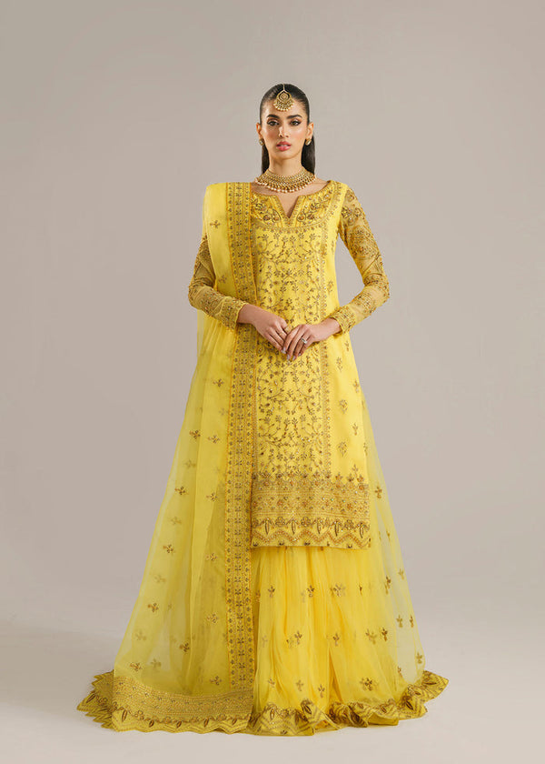 Akbar Aslam | Afsana Wedding Formals | HAREEM by Akbar Aslam - Designer Dress - Type: Ladies Clothes - Available at Libayah - 100% Original