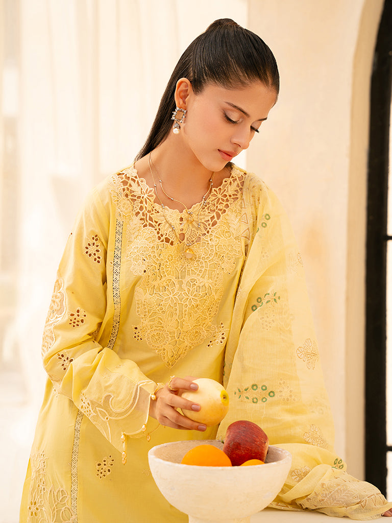 Rajbari | Jahaan Premium Festive Lawn | ORIYA (Jahan) 6-A by Rajbari - Designer Dress - Type: Ladies Clothes - Available at Libayah - 100% Original