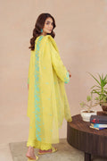 Hana | Mystic Motifs | Fidan by Hana - Designer Dress - Type: Ladies Clothes - Available at Libayah - 100% Original