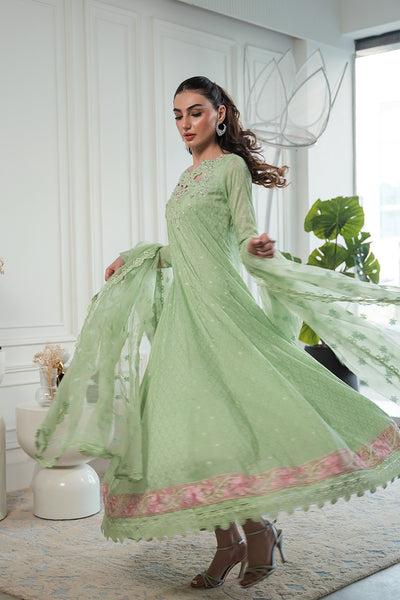 Amna Arshad | Laleh Festive | Ziva by Amna Arshad - Designer Dress - Type: Formal - Available at Libayah - 100% Original