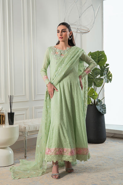 Amna Arshad | Laleh Festive | Ziva by Amna Arshad - Designer Dress - Type: Formal - Available at Libayah - 100% Original