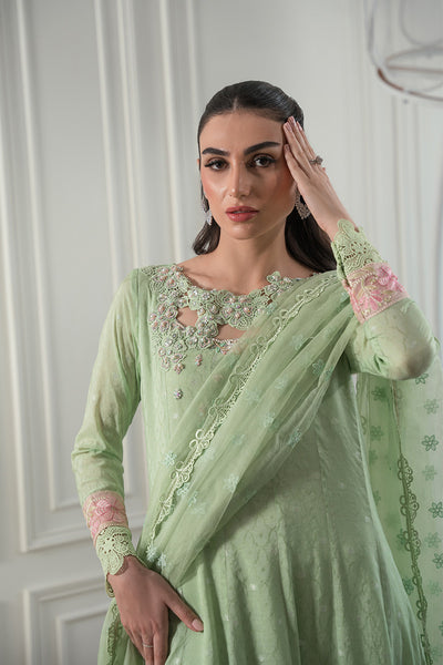 Amna Arshad | Laleh Festive | Ziva by Amna Arshad - Designer Dress - Type: Formal - Available at Libayah - 100% Original