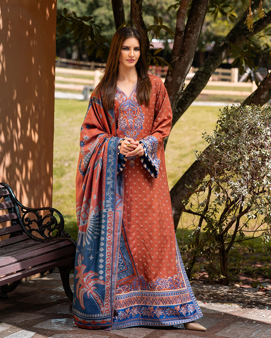 Whispers of Change – authentic Pakistani dress from the Mushq Winter Broadway 25 collection for women in the UK.