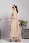 Amna Arshad | Laleh Festive | Liza by Amna Arshad - Designer Dress - Type: Formal - Available at Libayah - 100% Original