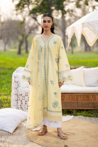 Afrozeh | Basic Pret 26 RTW | NACRE by Afrozeh - Designer Dress  - Type : Ladies Clothes - Available at Libayah - 100% Original 