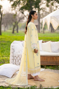 Afrozeh | Basic Pret 26 RTW | NACRE by Afrozeh - Designer Dress  - Type : Ladies Clothes - Available at Libayah - 100% Original 