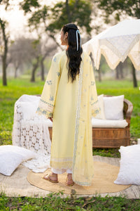 Afrozeh | Basic Pret 26 RTW | NACRE by Afrozeh - Designer Dress  - Type : Ladies Clothes - Available at Libayah - 100% Original 
