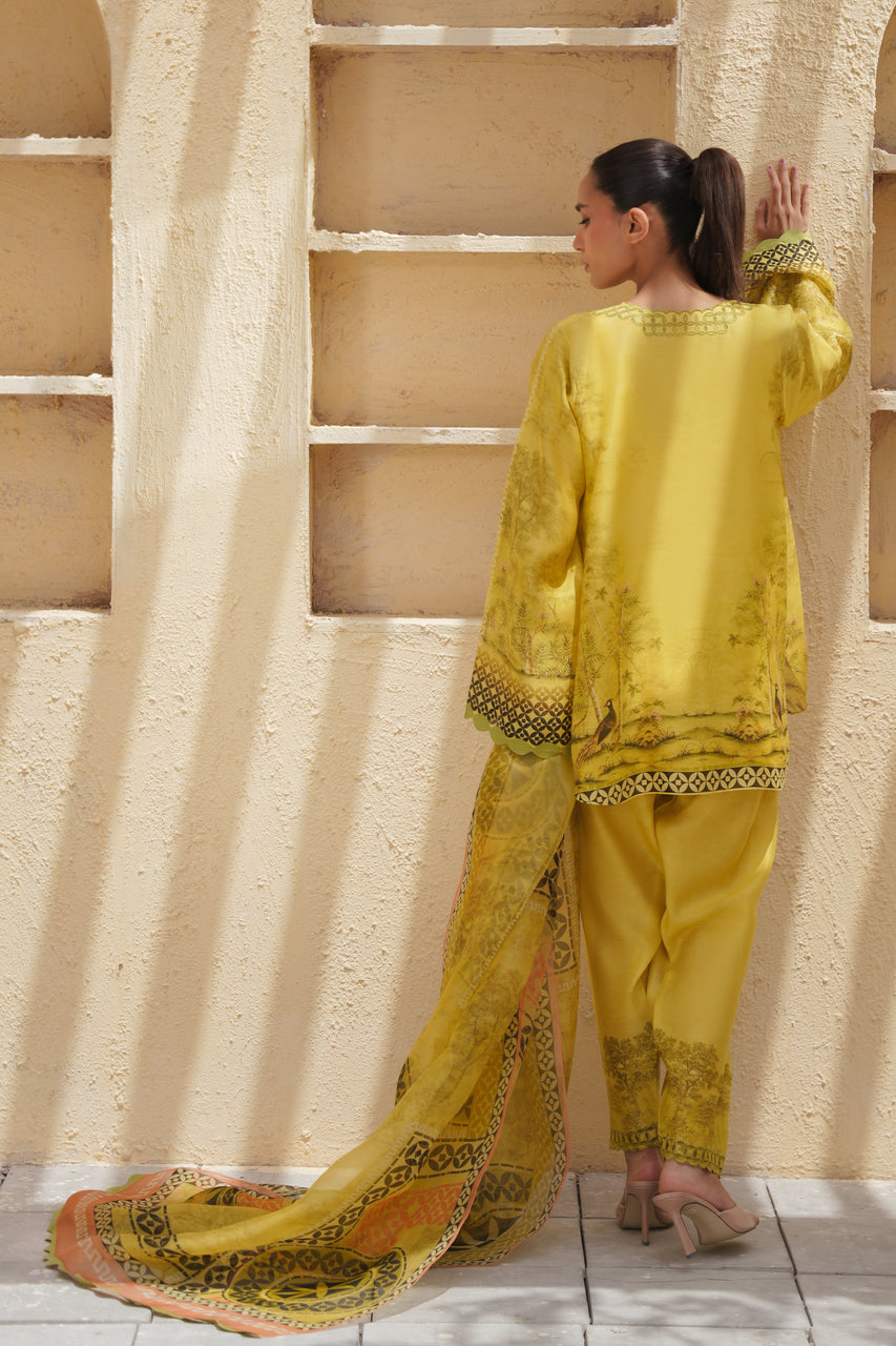 Sania Maskatiya | Eid ul Adha Edit | Sena - by Libayah - Registered Vendor of : Sania Maskatiya - 100% Original Designer Dress