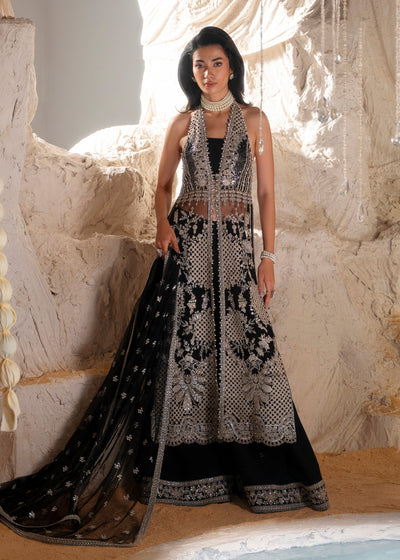 DARCY Z. – authentic Pakistani formal dress from the Zarizaa Blink Formals collection for women in the UK