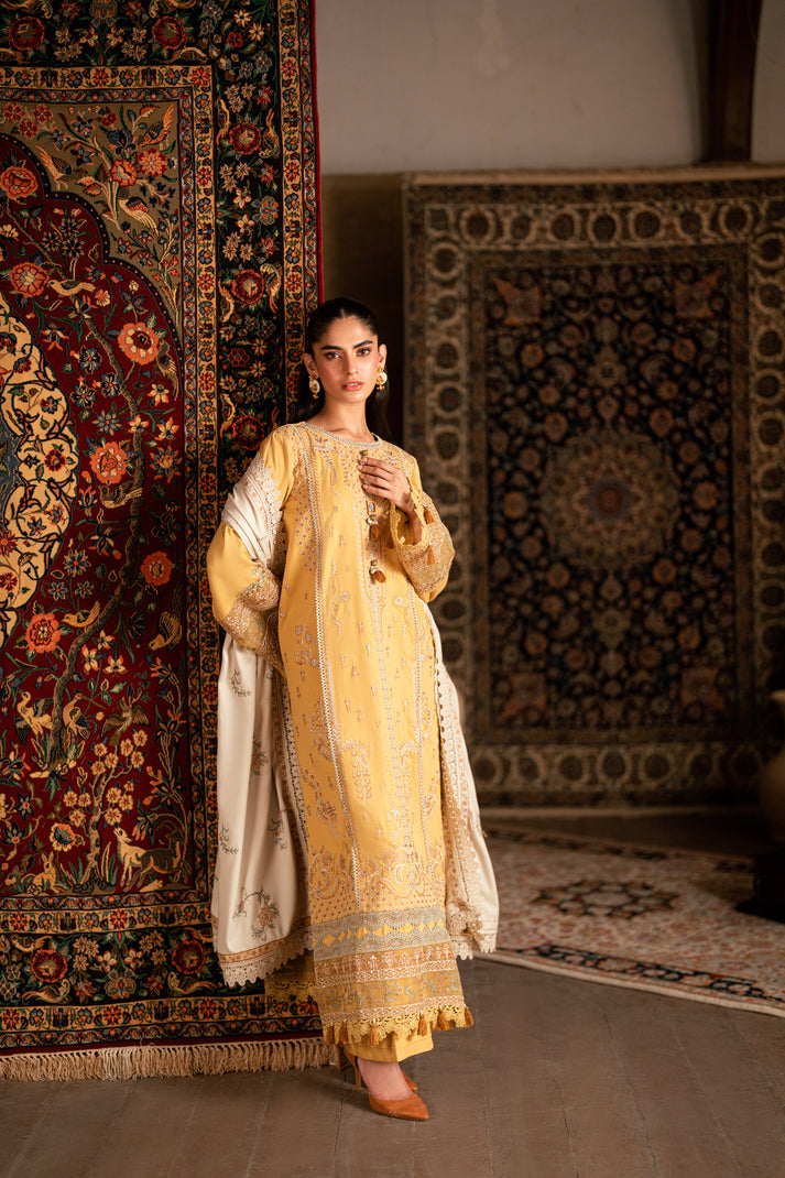 FWS - 5B – authentic Pakistani dress from the Florent Shades of Winter 25 collection for women in the UK