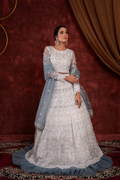 House of Nawab | Luxury Formals | GULCIN by House of Nawab - Designer Dress - Type: Ladies Clothes - Available at Libayah - 100% Original