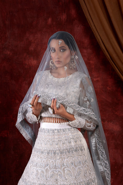 House of Nawab | Luxury Formals | GULCIN by House of Nawab - Designer Dress - Type: Ladies Clothes - Available at Libayah - 100% Original