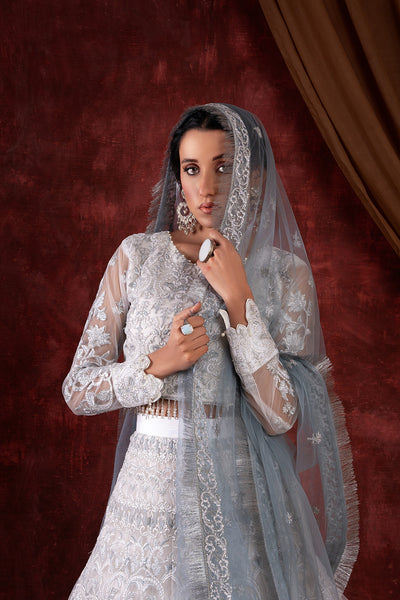 House of Nawab | Luxury Formals | GULCIN by House of Nawab - Designer Dress - Type: Ladies Clothes - Available at Libayah - 100% Original