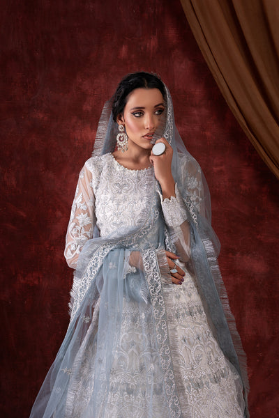 House of Nawab | Luxury Formals | GULCIN by House of Nawab - Designer Dress - Type: Ladies Clothes - Available at Libayah - 100% Original