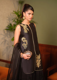 Mahum Asad | Private Hour | Roast - by Libayah - Registered Vendor of : Mahum Asad - 100% Original Designer Dress