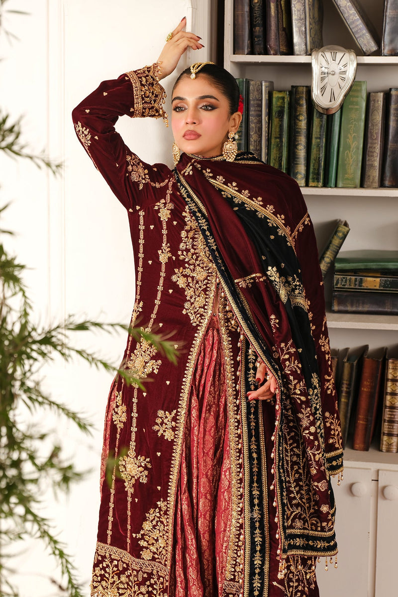 Raeesa Premium | Sheen Luxury Velvet | Sitara by Raeesa Premium - Designer Dress - Type: Ladies Clothes - Available at Libayah - 100% Original
