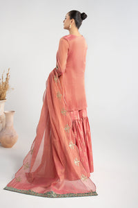Maria B | Luxury Winter Pret 25 | DW-W25-01-Pink by Maria B - Designer Dress  - Type : Ladies Clothes - Available at Libayah - 100% Original 
