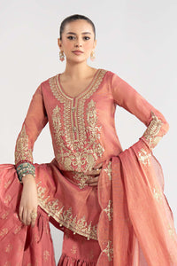 Maria B | Luxury Winter Pret 25 | DW-W25-01-Pink by Maria B - Designer Dress  - Type : Ladies Clothes - Available at Libayah - 100% Original 