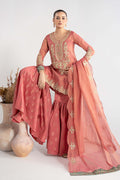 Maria B | Luxury Winter Pret 25 | DW-W25-01-Pink by Maria B - Designer Dress  - Type : Ladies Clothes - Available at Libayah - 100% Original 