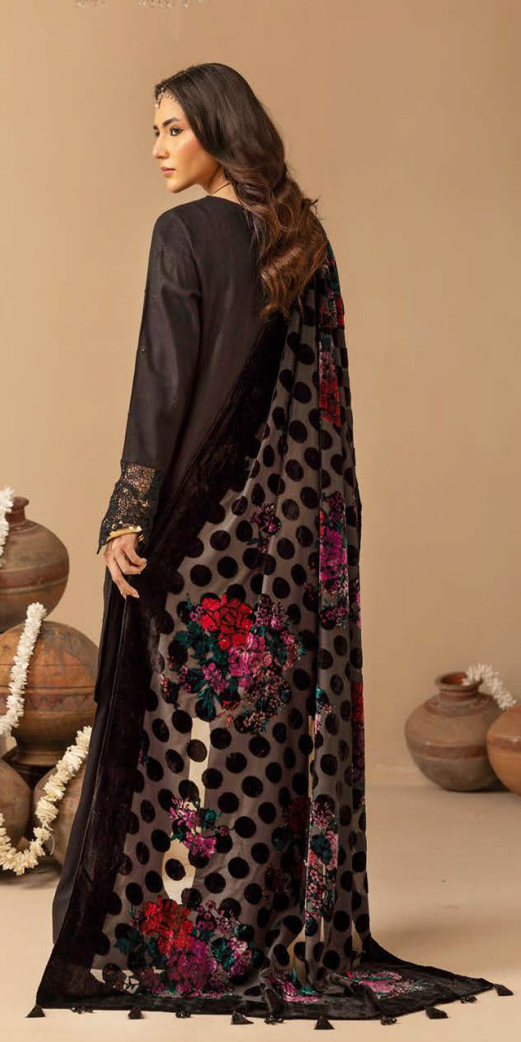 Riaz Arts | Dastaan Winter 25 | DS-19