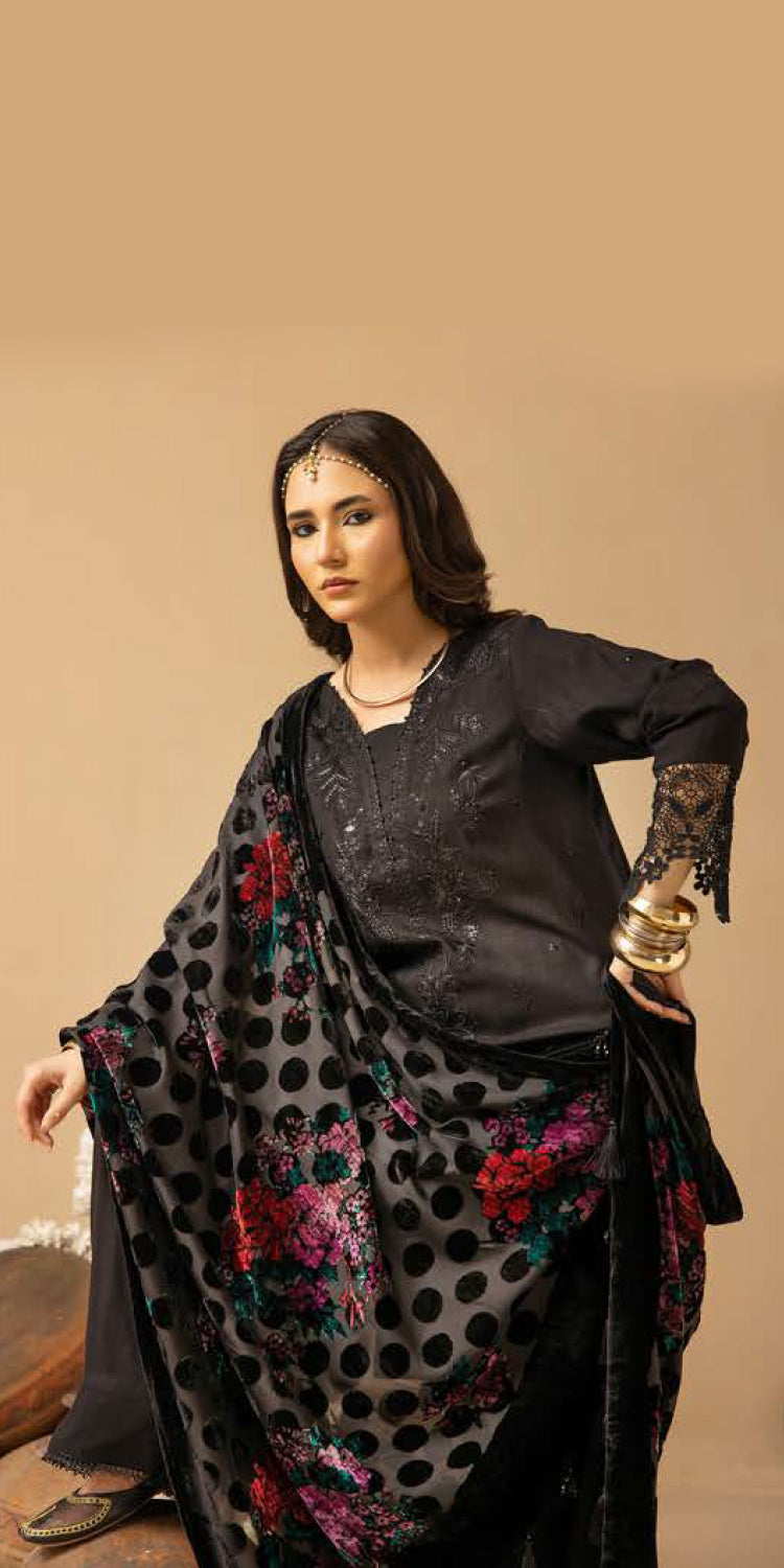Riaz Arts | Dastaan Winter 25 | DS-19