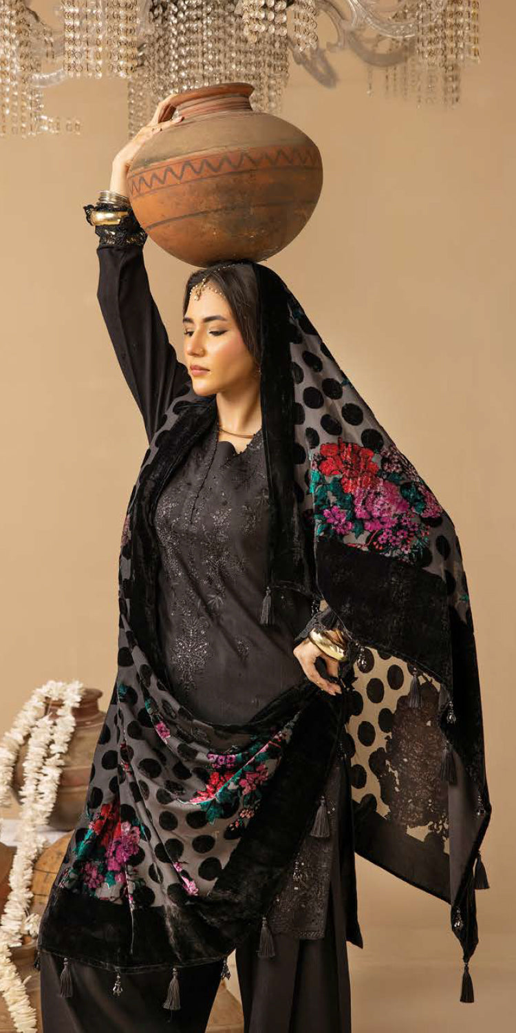 Riaz Arts | Dastaan Winter 25 | DS-19