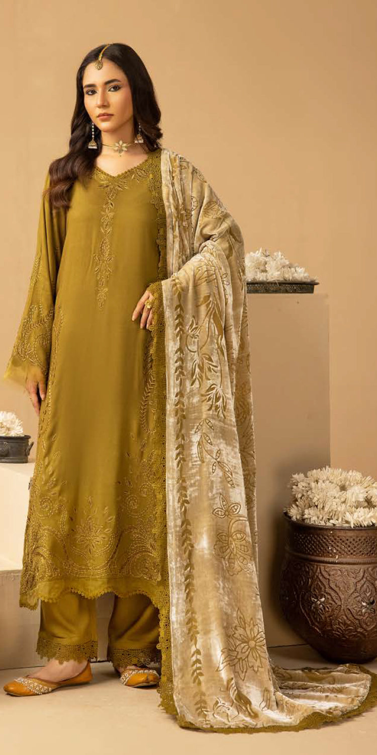 DS-18 – authentic Pakistani dress from the Riaz Arts Dastaan Winter 25 collection for women in the UK