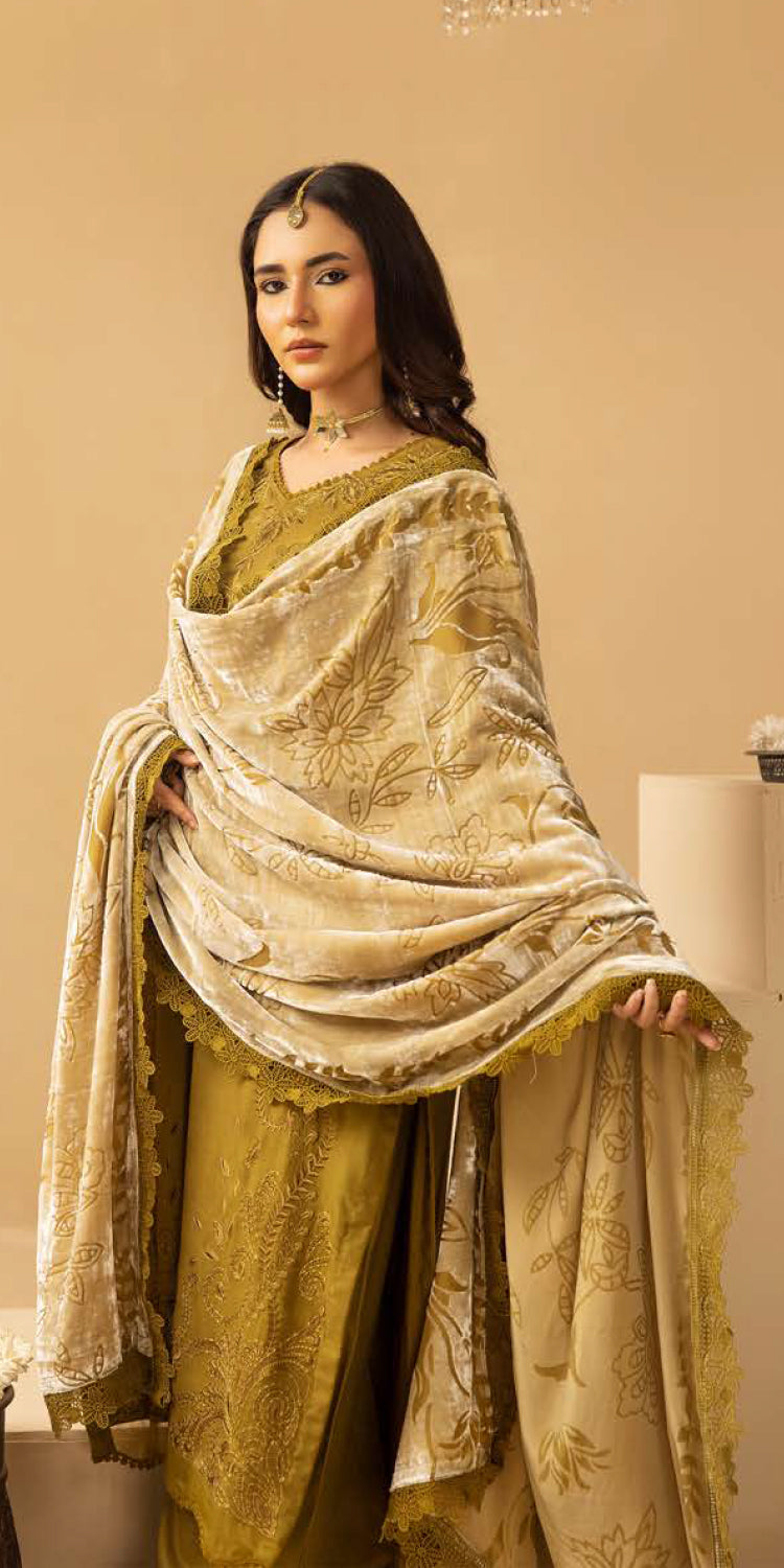 Riaz Arts | Dastaan Winter 25 | DS-18