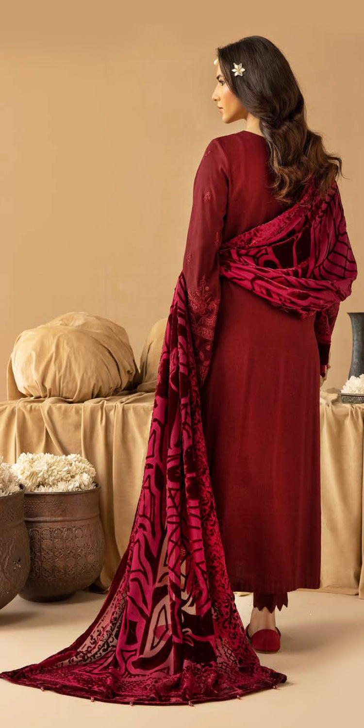 Riaz Arts | Dastaan Winter 25 | DS-17