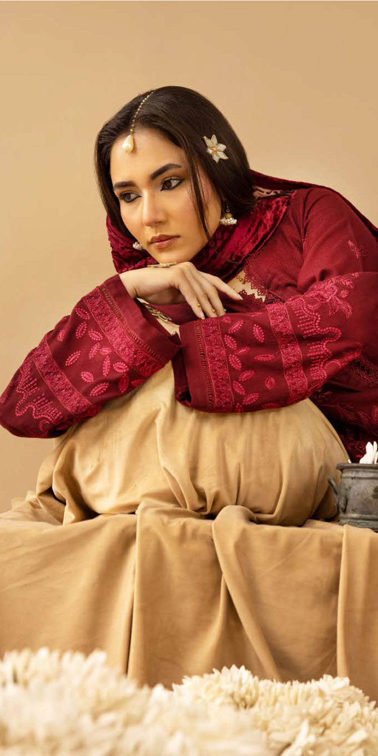 Riaz Arts | Dastaan Winter 25 | DS-17