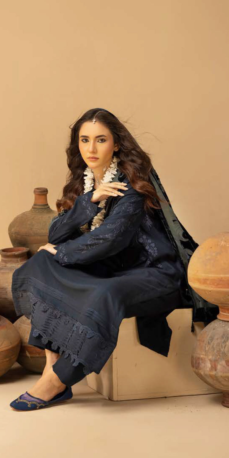 Riaz Arts | Dastaan Winter 25 | DS-22