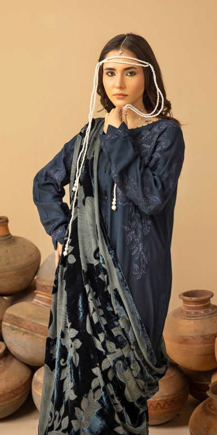 Riaz Arts | Dastaan Winter 25 | DS-22