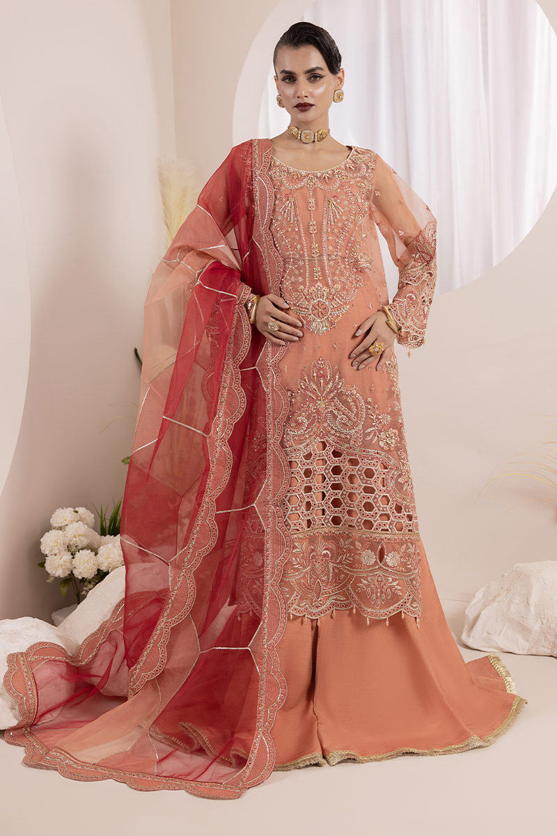 Diara Couture | Aaraish Formals | NOSHEEN - US-645 by Diara Couture - Designer Dress - Type: Ladies Clothes - Available at Libayah - 100% Original