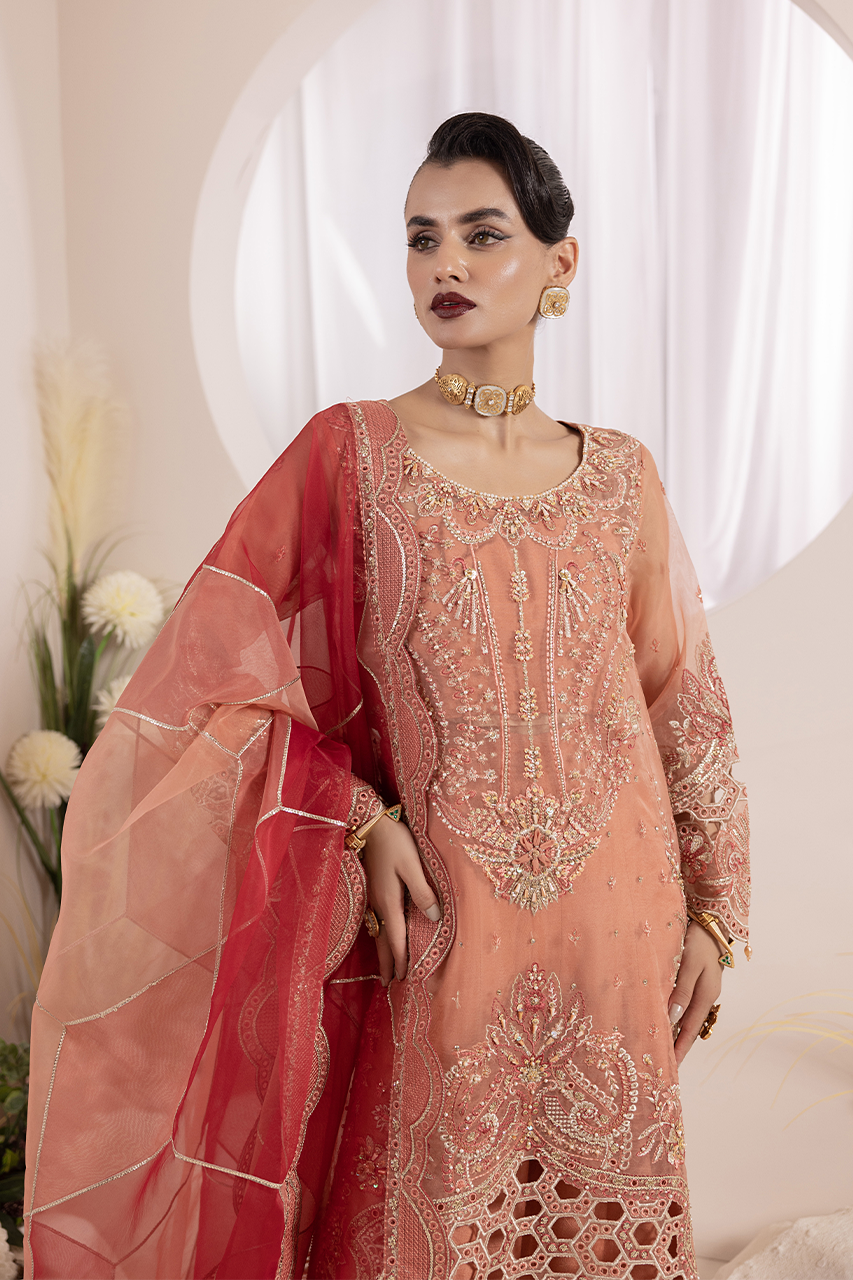 Diara Couture | Aaraish Formals | NOSHEEN - US-645 by Diara Couture - Designer Dress - Type: Ladies Clothes - Available at Libayah - 100% Original