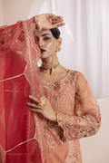 Diara Couture | Aaraish Formals | NOSHEEN - US-645 by Diara Couture - Designer Dress - Type: Ladies Clothes - Available at Libayah - 100% Original