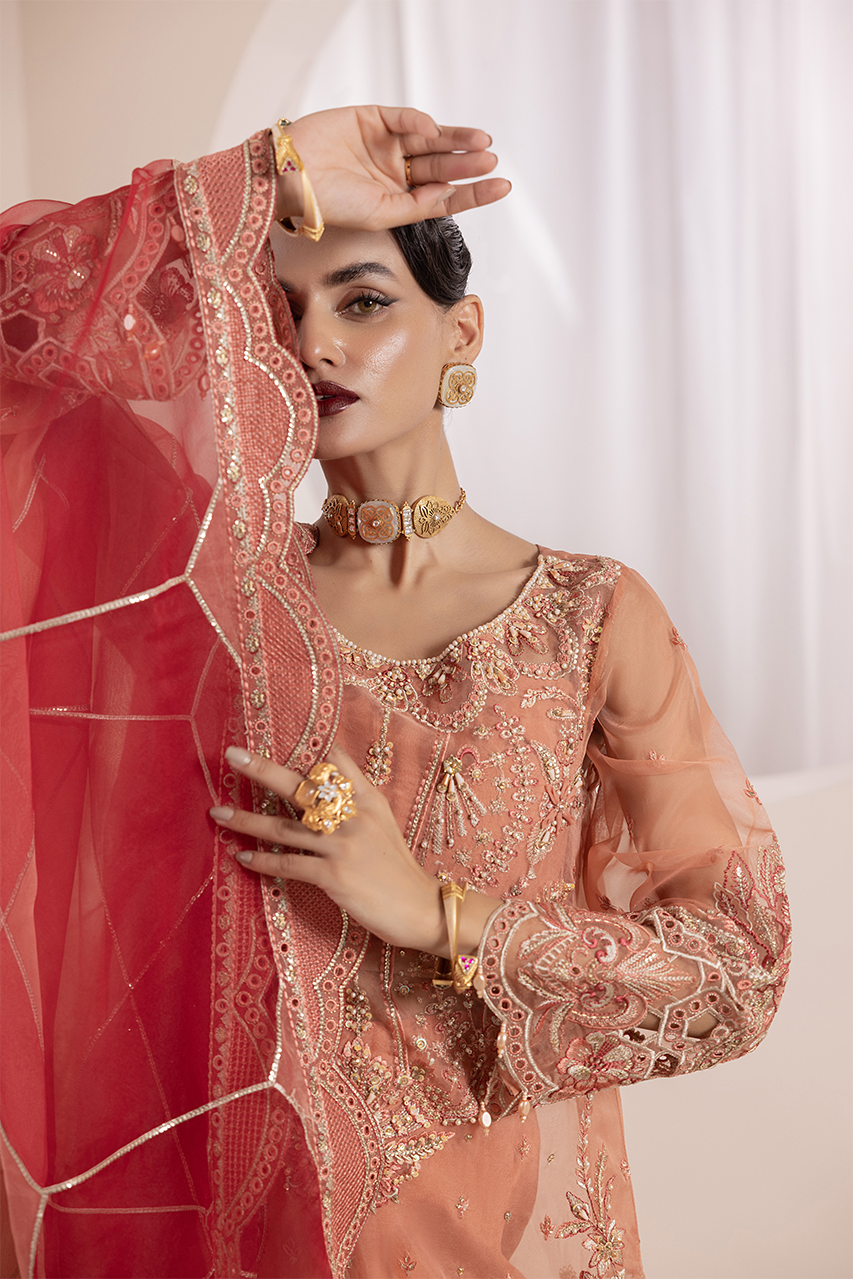 Diara Couture | Aaraish Formals | NOSHEEN - US-645 by Diara Couture - Designer Dress - Type: Ladies Clothes - Available at Libayah - 100% Original