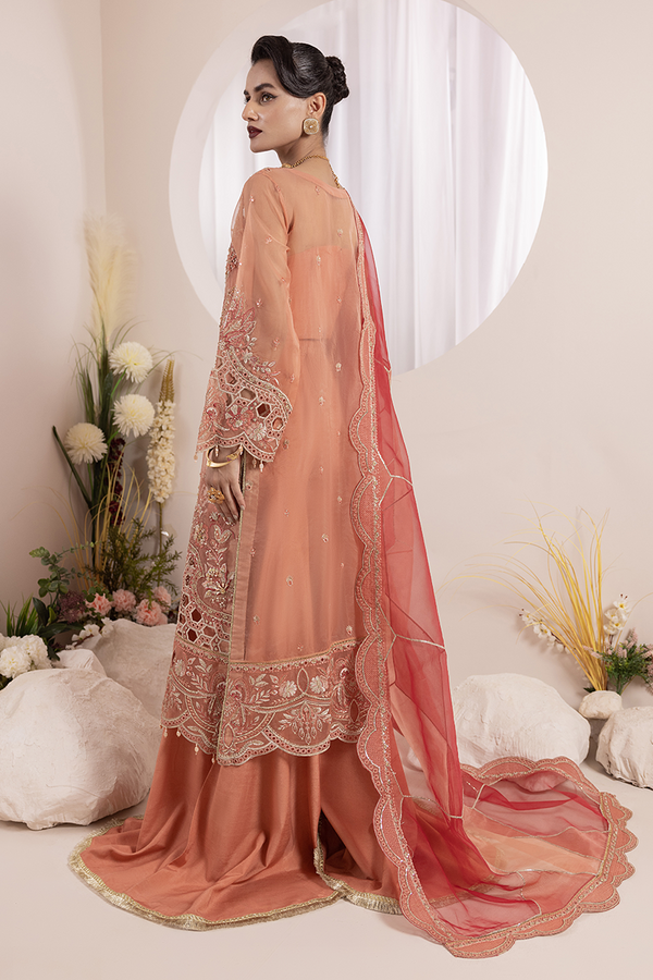 Diara Couture | Aaraish Formals | NOSHEEN - US-645 by Diara Couture - Designer Dress - Type: Ladies Clothes - Available at Libayah - 100% Original