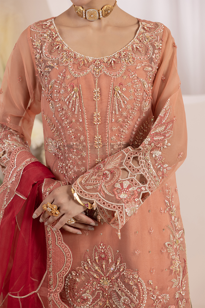 Diara Couture | Aaraish Formals | NOSHEEN - US-645 by Diara Couture - Designer Dress - Type: Ladies Clothes - Available at Libayah - 100% Original