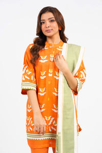 Al Karam | Winter 24 | FW-49.1-24 by Alkaram - Designer Dress - Type: Ladies Clothes - Available at Libayah - 100% Original