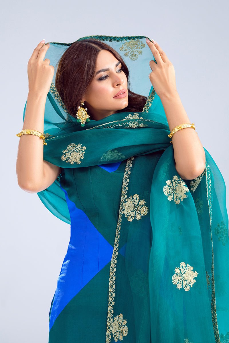 Fahad Hussayn | Formals 2024 | Damra by Fahad Hussayn - Designer Dress - Type: Ladies Clothes - Available at Libayah - 100% Original