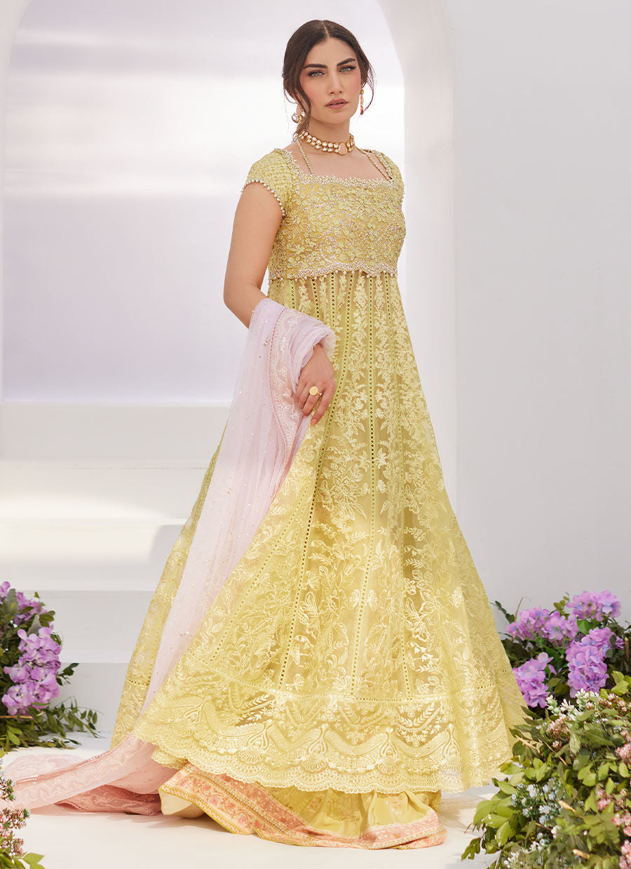 Farah Talib Aziz | Zaza Luxe Pret 24 | REINE KIWI EMBROIDERED EMBELLISHED KALIDAAR by Farah Talib Aziz - Designer Dress - Type: Ladies Clothes - Available at Libayah - 100% Original