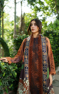 Asifa and Nabeel | Meraki Winter 25 | Forest Calm