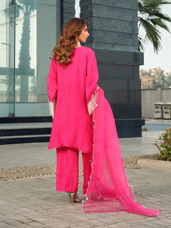 Ain | Raya Luxury Formals | AN-165 GARNET by Ain - Designer Dress  - Type : Ladies Clothes - Available at Libayah - 100% Original 