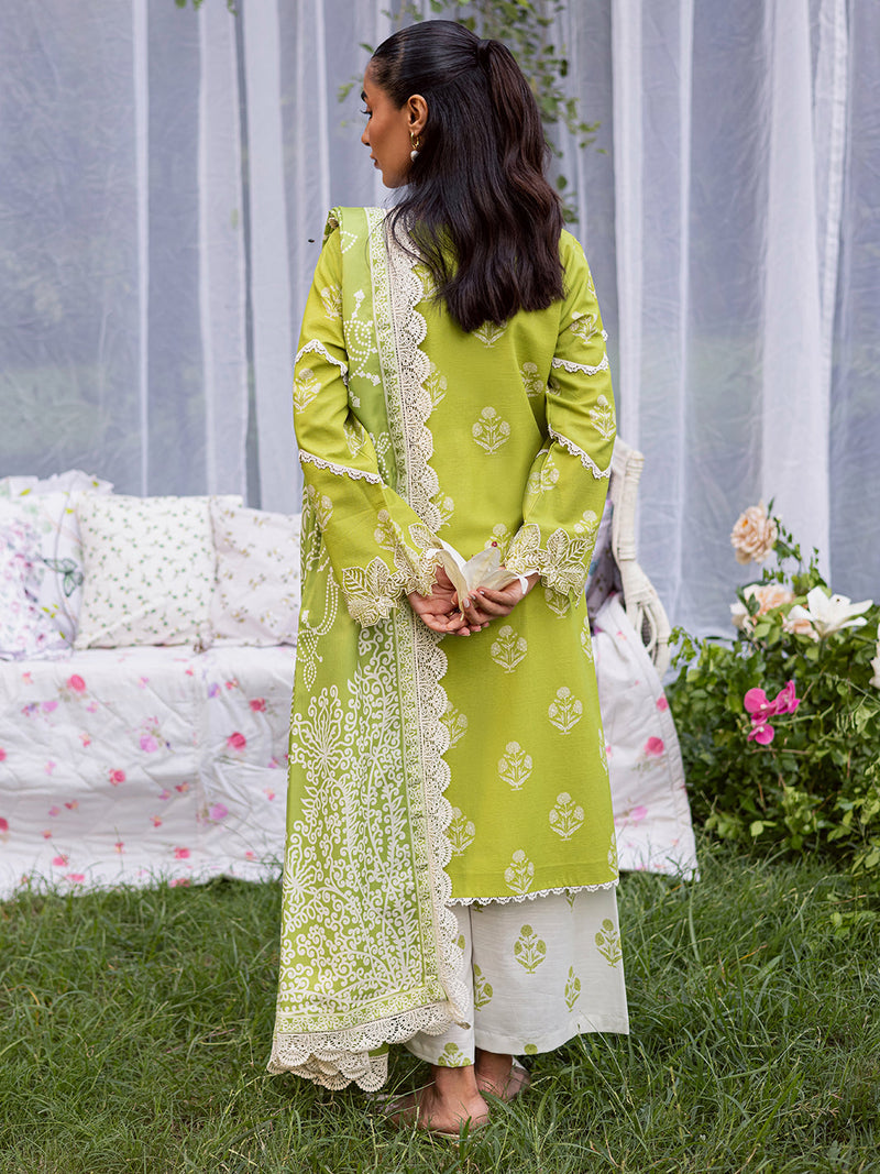 Mahnur | Gardenia Khaddar 25 | GR-03