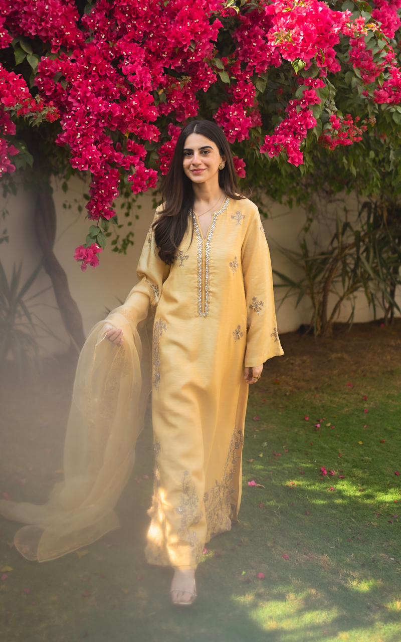 Asifa and Nabeel | Silk Edit 26 | Gilded Primrose - Designer Dress - Type : Ladies Clothes - Available at Libayah - 100% Original