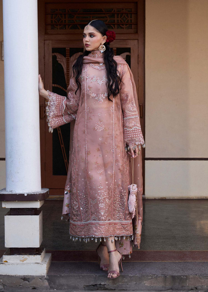 Hussain Rehar | Darlings Festive 25 | Danara by Hussain Rehar - Designer Dress - Type: Ladies Clothes - Available at Libayah - 100% Original