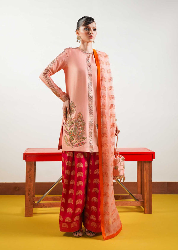 Hussain Rehar | Basic Not Basic |  Blush by Hussain Rehar - Designer Dress - Type: Ladies Clothes - Available at Libayah - 100% Original
