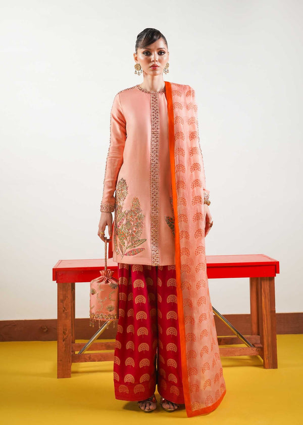 Hussain Rehar | Basic Not Basic |  Blush by Hussain Rehar - Designer Dress - Type: Ladies Clothes - Available at Libayah - 100% Original