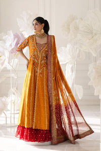 Mina Hassan | Festive Dholki 25 | Afra by Mina Hassan - Designer Dress - Type : Ladies Clothes - Available at Libayah - 100% Original 